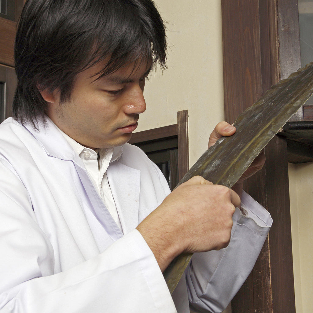 Doi-san inspecting Ma Konbu at the Konbu Doi shop in Tanimachi, Osaka