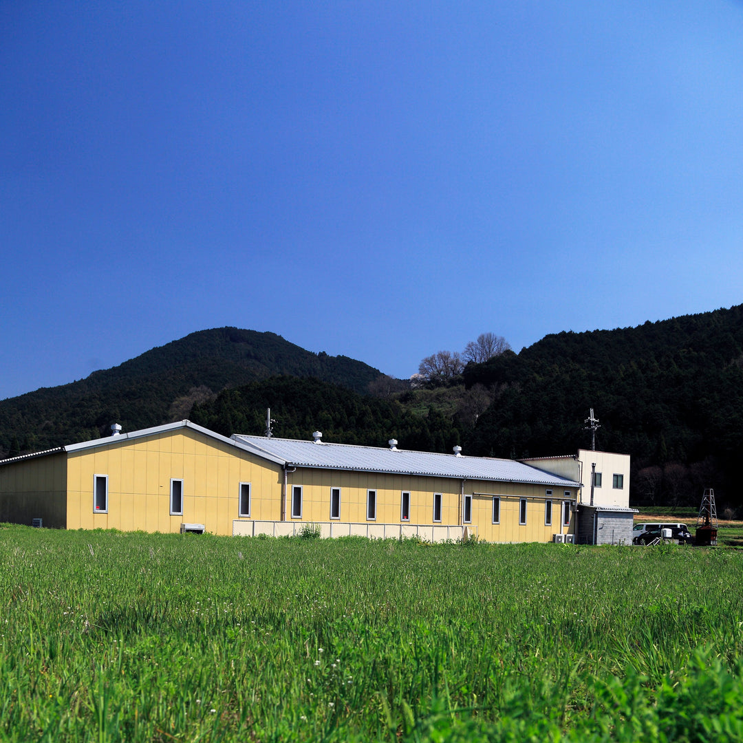 Miwa Yamakatsu somen noodle factory with Mount Miwa in the background, Nara Prefecture