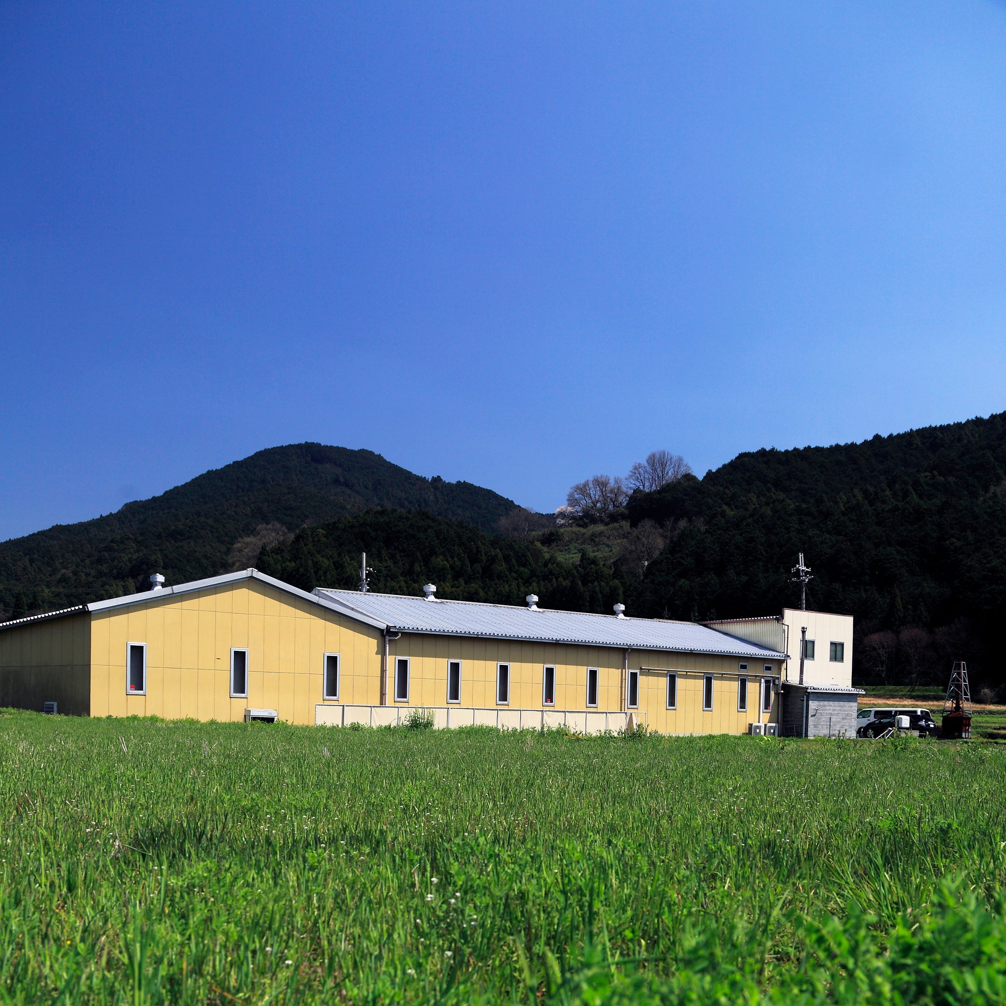 Miwa Yamakatsu somen noodle factory with Mount Miwa in the background, Nara Prefecture