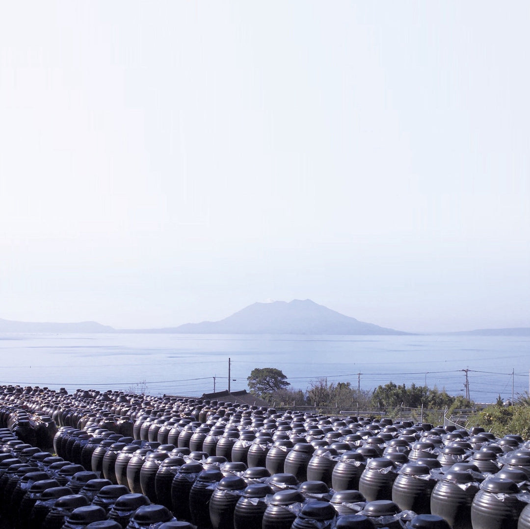 Kakuida black vinegar earthenware crocks with Sakurajima volcano in the background, Kagoshima