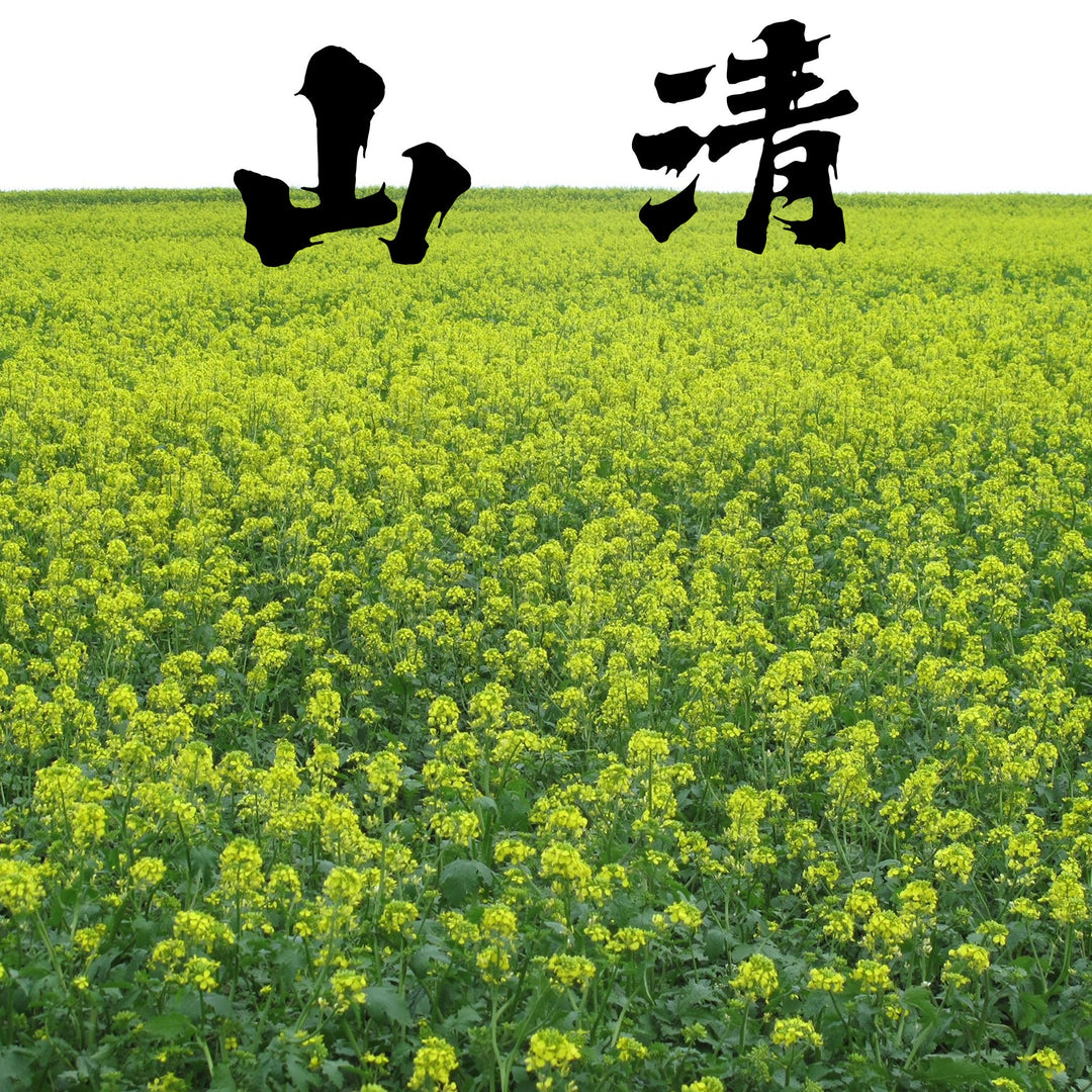 Yamasei — artisanal karashi mustard producer in Kagawa Prefecture, Japan