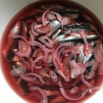 Pickled Anchovies