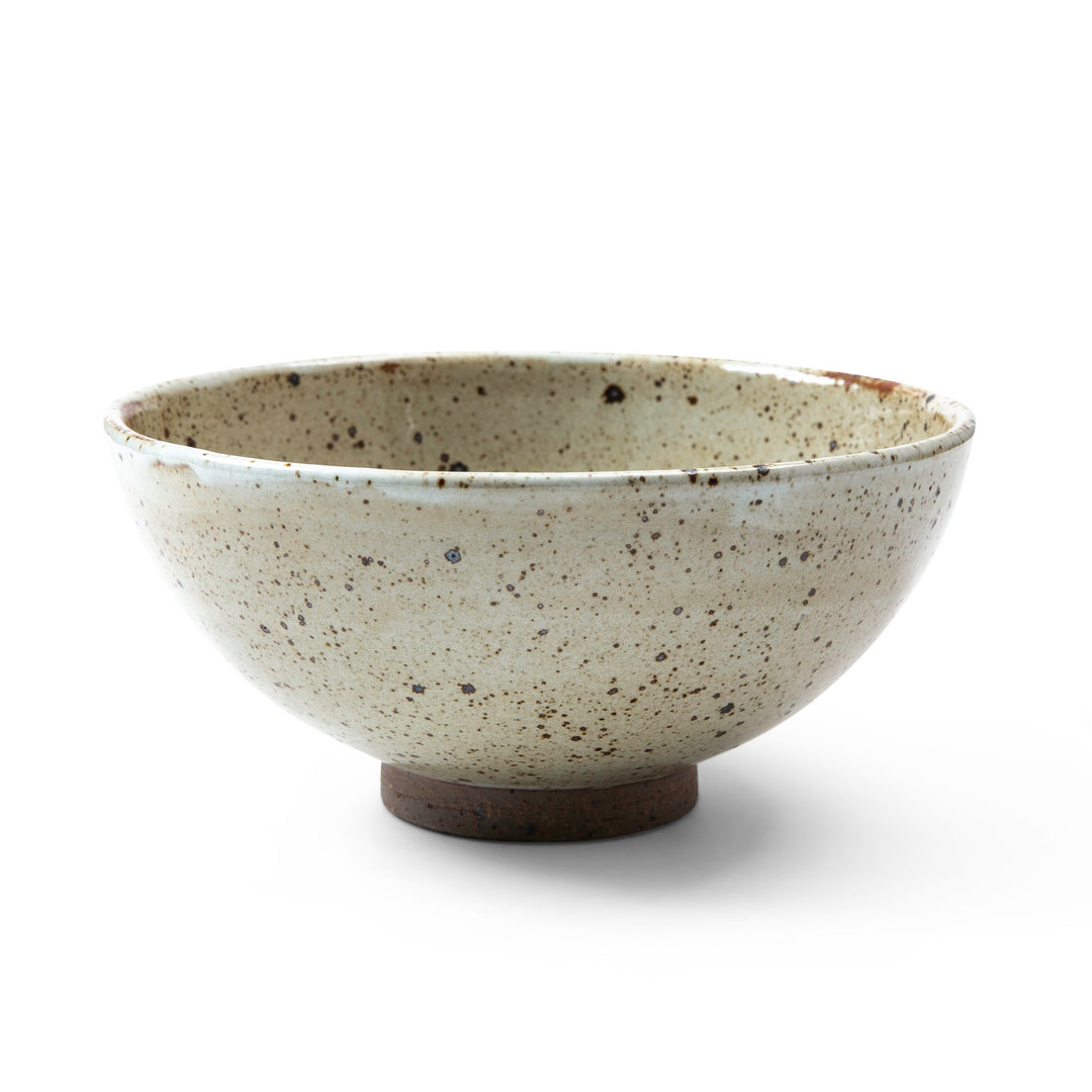 Medium speckled ceramic bowl on a white background