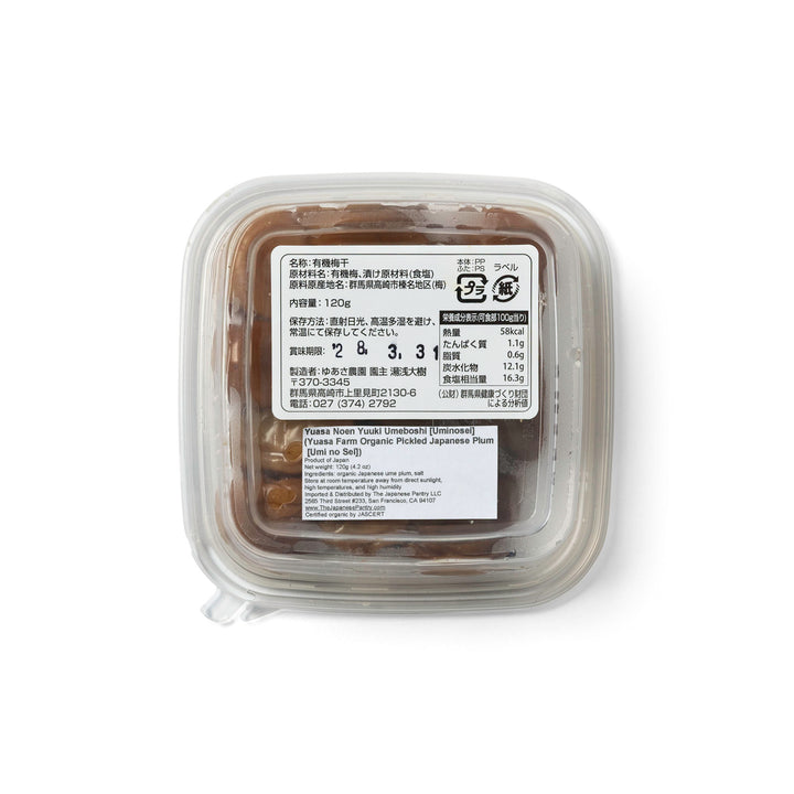 A clear plastic container of Tres Farms Organic Picked Japanese Plum Ice Cream Soup, showing the brownish contents and a white label with text and recycling symbols, on a white background.